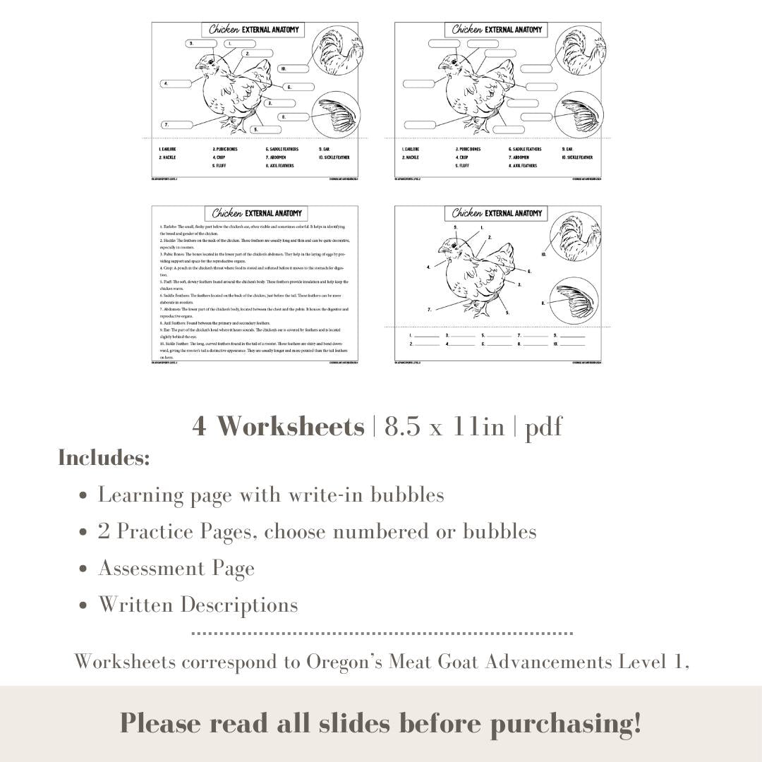 PRINTABLE Chicken External Anatomy - Level 2