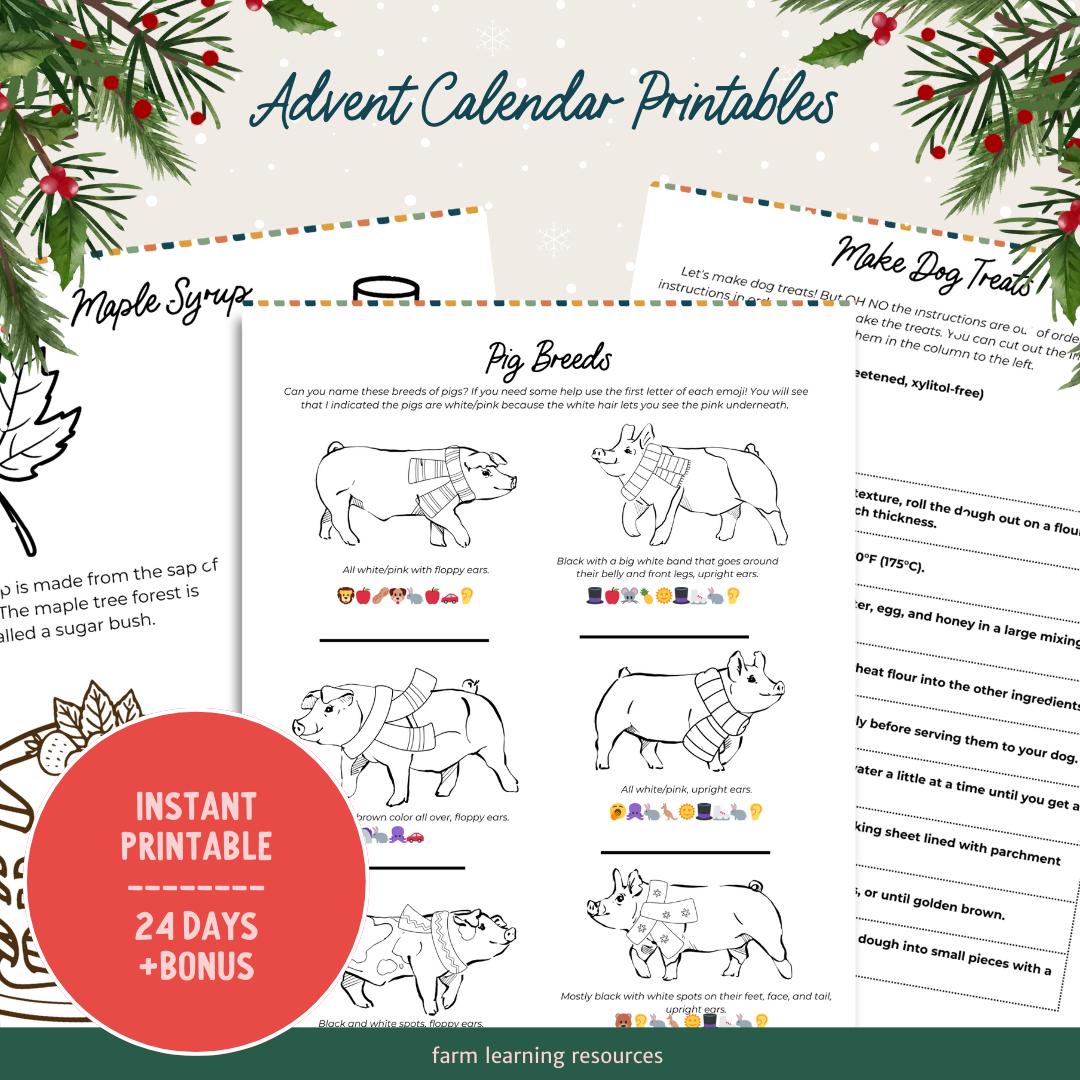 Advent Calendar Printables - Full Set