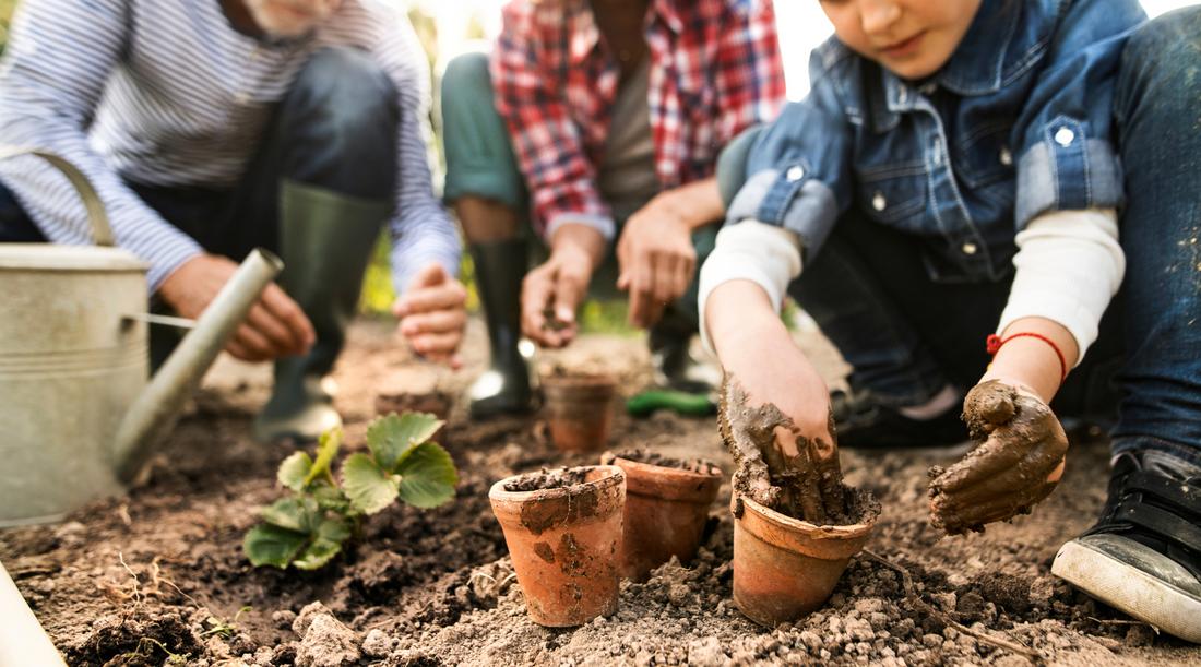 What are Cloverbuds in 4-H?