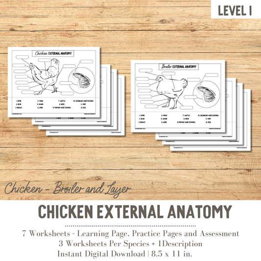 PRINTABLE Chicken External Anatomy Bundle Broiler/Layer - Level 1