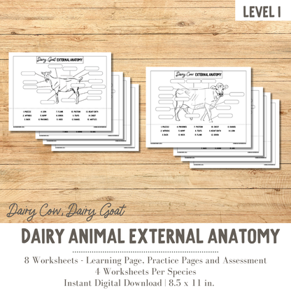 PRINTABLE Dairy Animal External Anatomy Bundle Dairy Cow and Dairy Goat - Level 1