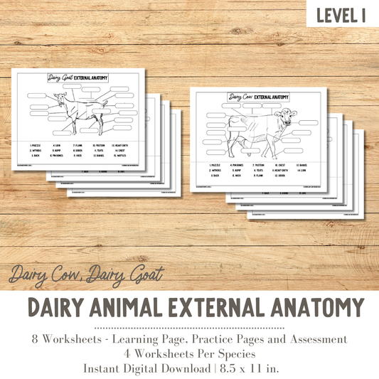 PRINTABLE Dairy Animal External Anatomy Bundle Dairy Cow and Dairy Goat - Level 1