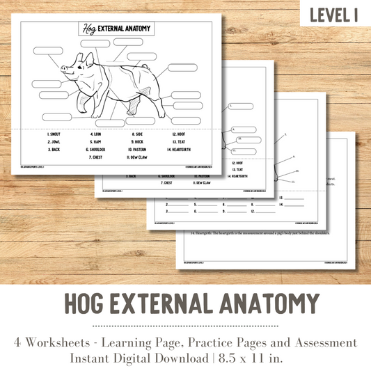 PRINTABLE Hog External Anatomy - Level 1
