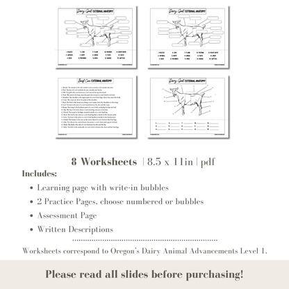 PRINTABLE Dairy Animal External Anatomy Bundle Dairy Cow and Dairy Goat - Level 1