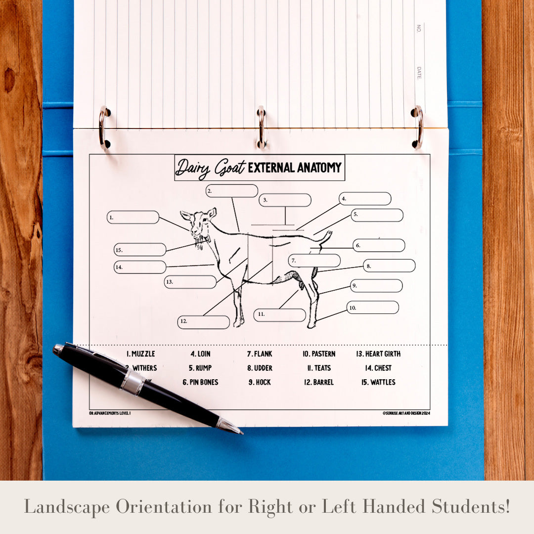 PRINTABLE Dairy Animal External Anatomy Bundle Dairy Cow and Dairy Goat - Level 1