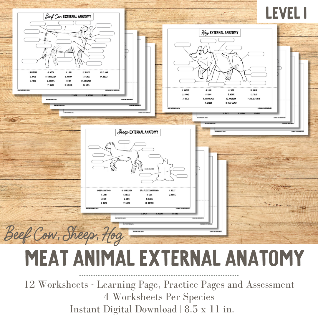 PRINTABLE Meat Animal External Anatomy Bundle Hog, Beef Cow, Sheep - Level 1