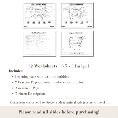 PRINTABLE Meat Animal External Anatomy Bundle Hog, Beef Cow, Sheep - Level 1