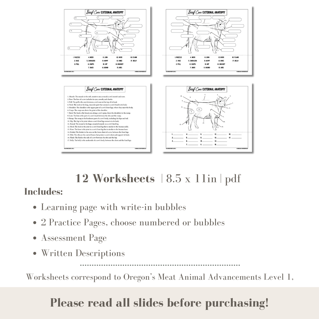 PRINTABLE All Large Animal External Anatomy Bundle Hog, Beef Cow, Sheep, Meat Goat - Level 1