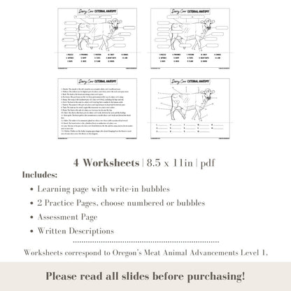 PRINTABLE Dairy Cow External Anatomy - Level 1