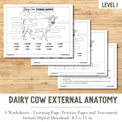 PRINTABLE Dairy Cow External Anatomy - Level 1