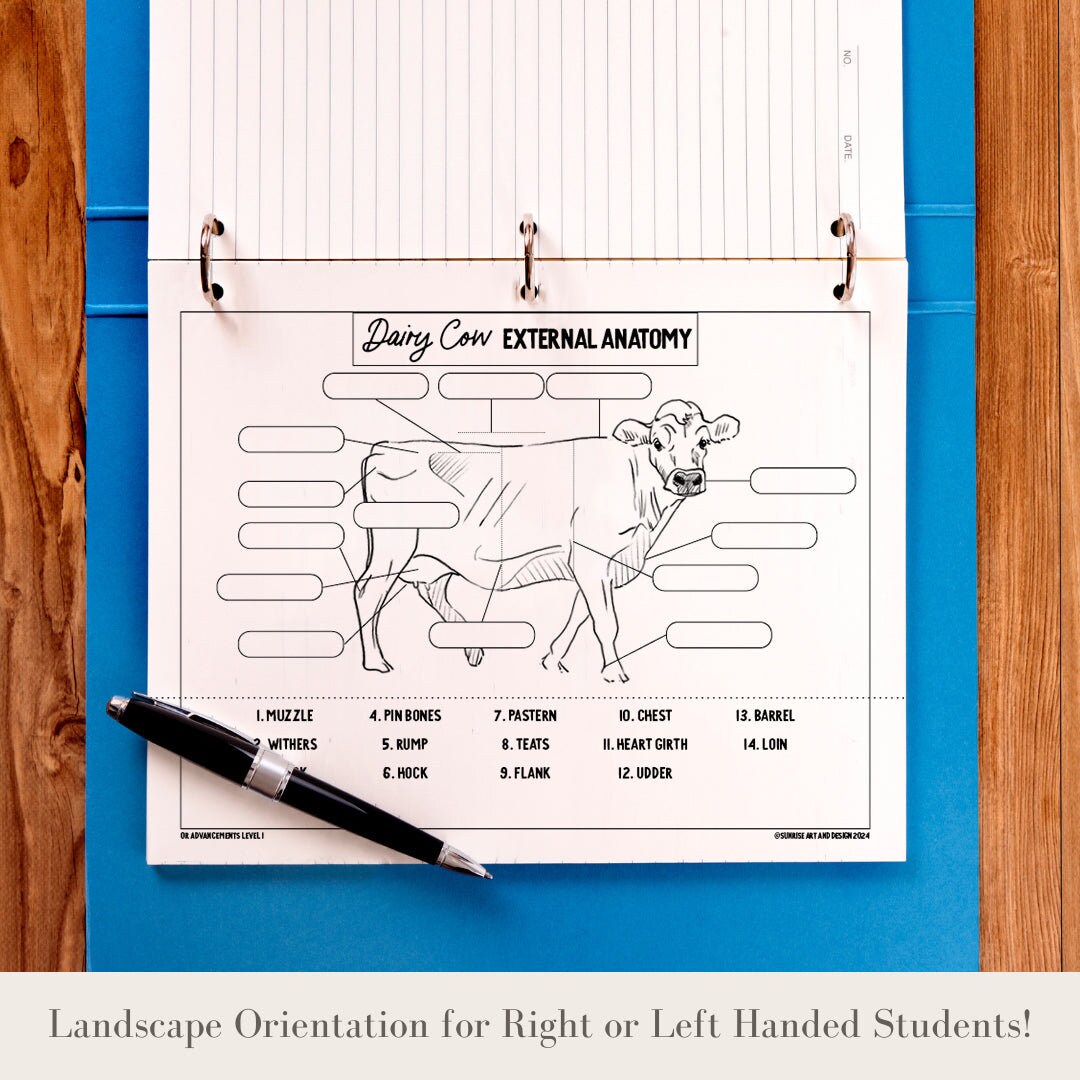 PRINTABLE Dairy Cow External Anatomy - Level 1