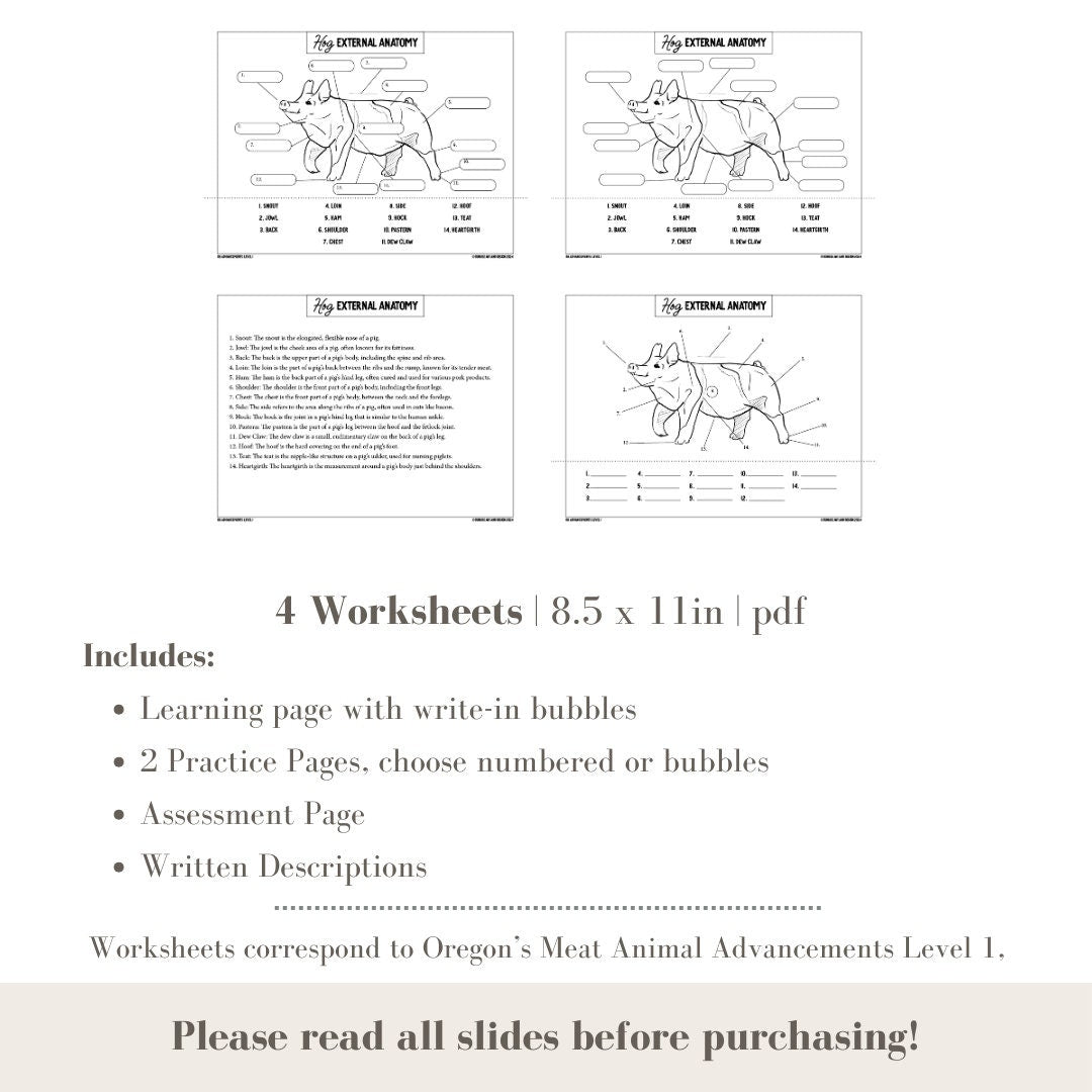 PRINTABLE Hog External Anatomy - Level 1