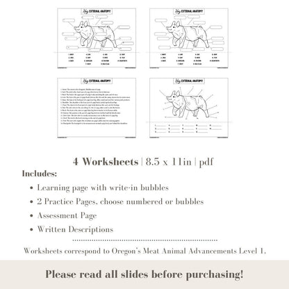 PRINTABLE Hog External Anatomy - Level 1