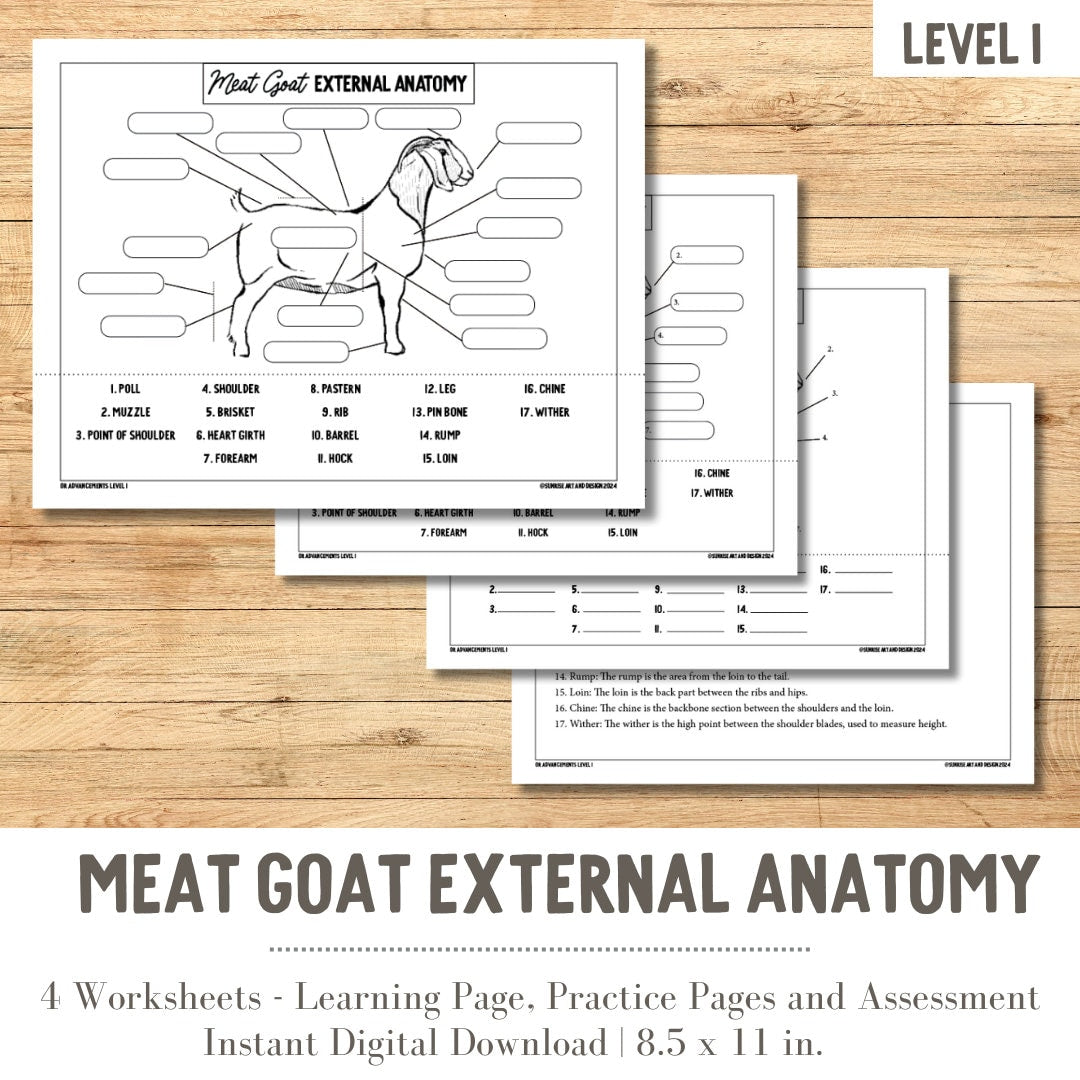 PRINTABLE Meat Goat External Anatomy - Level 1