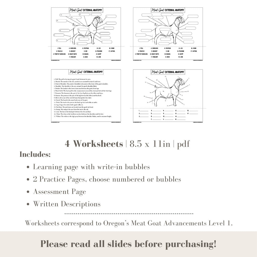 PRINTABLE Meat Goat External Anatomy - Level 1