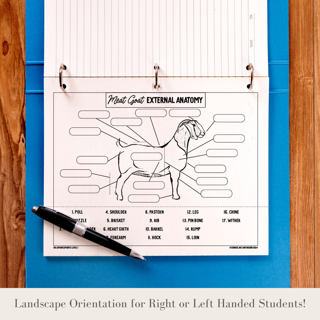 PRINTABLE Meat Goat External Anatomy - Level 1