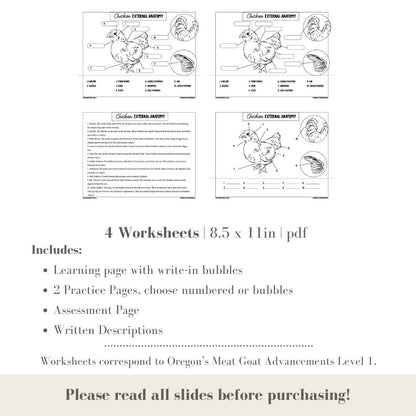 PRINTABLE Chicken External Anatomy - Level 2