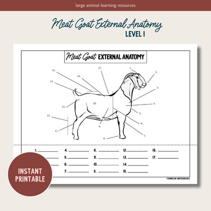 PRINTABLE Meat Goat External Anatomy - Level 1