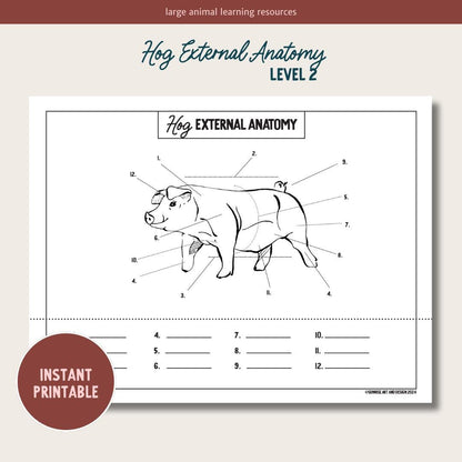 PRINTABLE Hog External Anatomy - Level 2