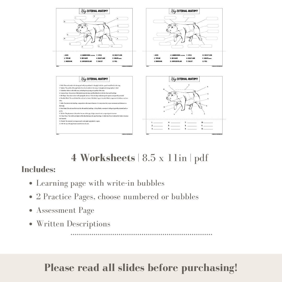 PRINTABLE Hog External Anatomy - Level 2