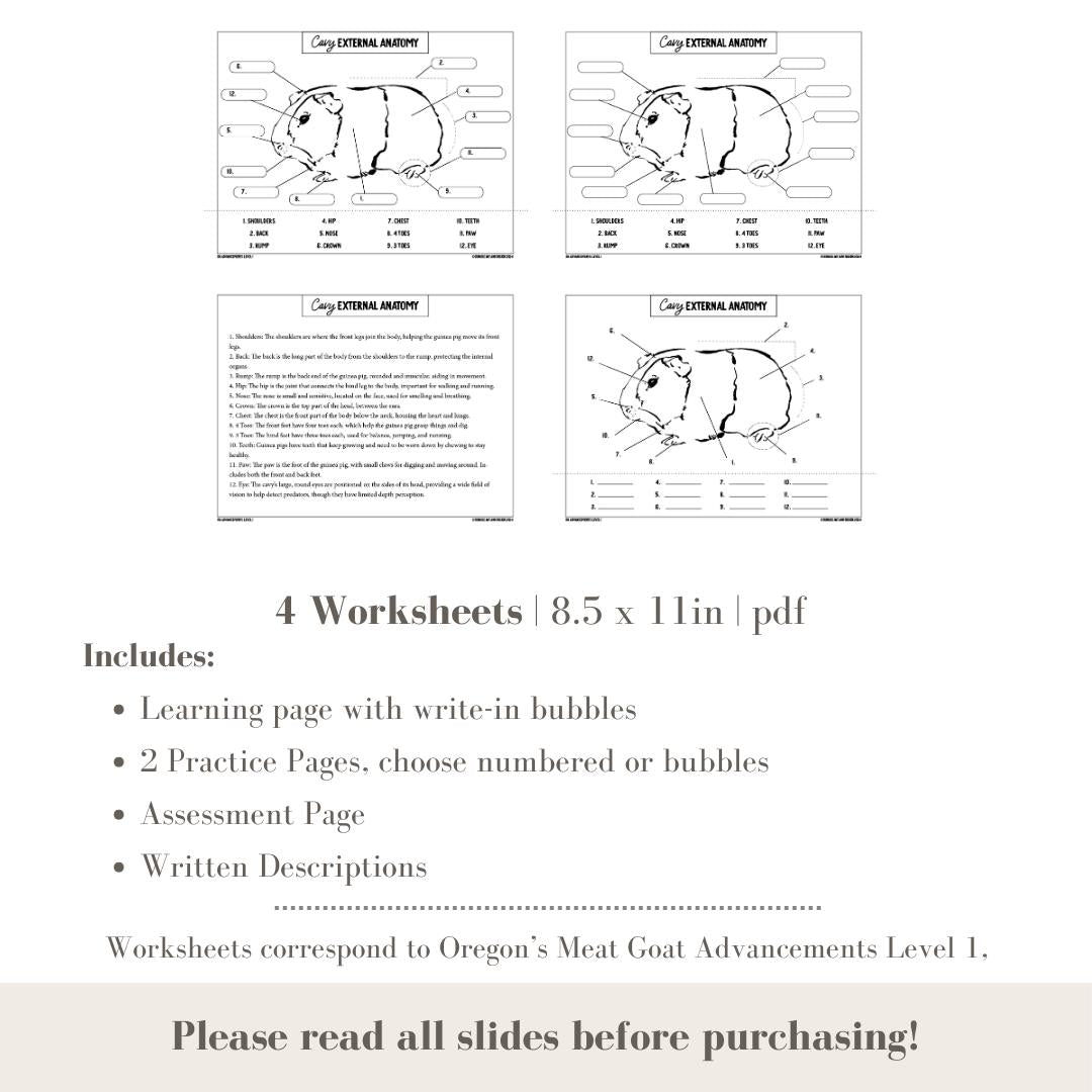 PRINTABLE Cavy External Anatomy - Level 1