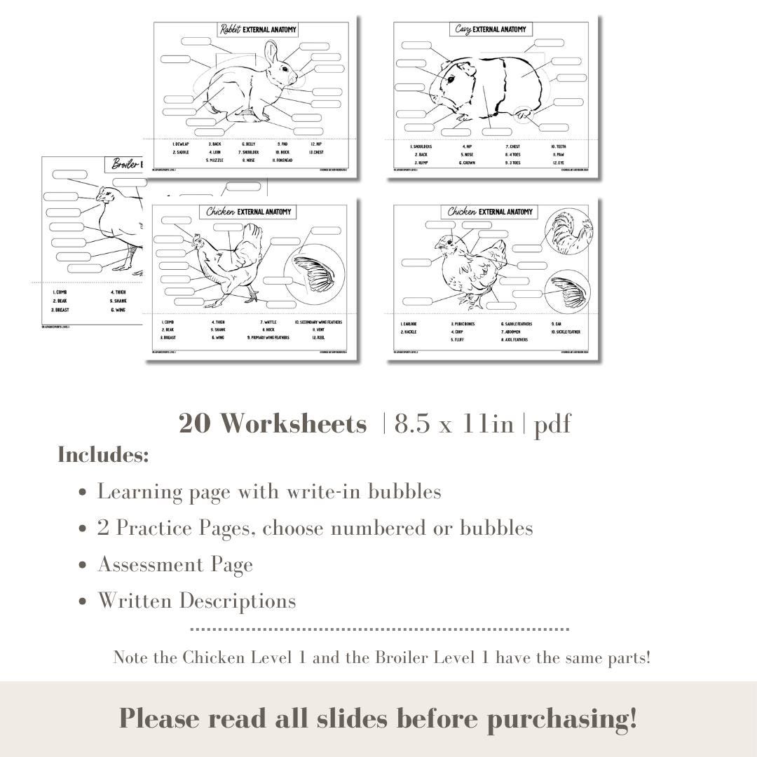 PRINTABLE All Small Animal External Anatomy Bundle Chicken/Broiler Level 1, Chicken Level 2, Cavy, Rabbit