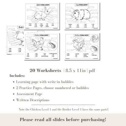 PRINTABLE All Small Animal External Anatomy Bundle Chicken/Broiler Level 1, Chicken Level 2, Cavy, Rabbit