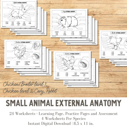 PRINTABLE All Small Animal External Anatomy Bundle Chicken/Broiler Level 1, Chicken Level 2, Cavy, Rabbit