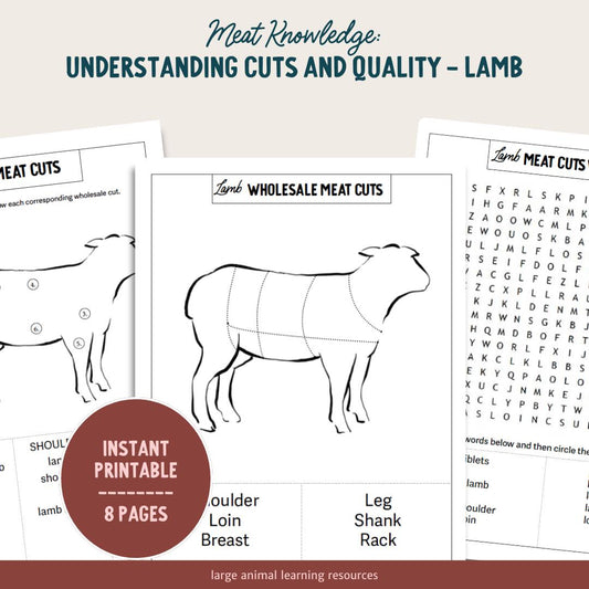 PRINTABLE Lamb Meat Cuts and Quality - Learning About Sheep