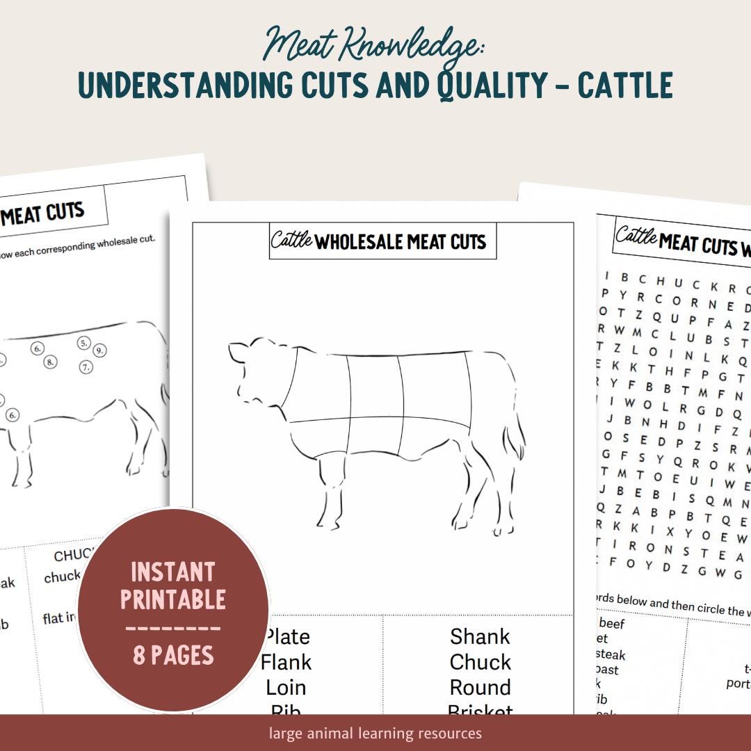 PRINTABLE Cattle Meat Cuts and Quality - Learning About Beef