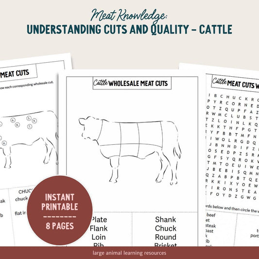 PRINTABLE Cattle Meat Cuts and Quality - Learning About Beef